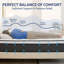 Matelas hybride moyen de 12 po dans une boîte à plateau-coussin-298987783-317241182