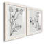 «Botanical Study I», reproduction de photo sur toile 2 pièces-1597680962-1597680973