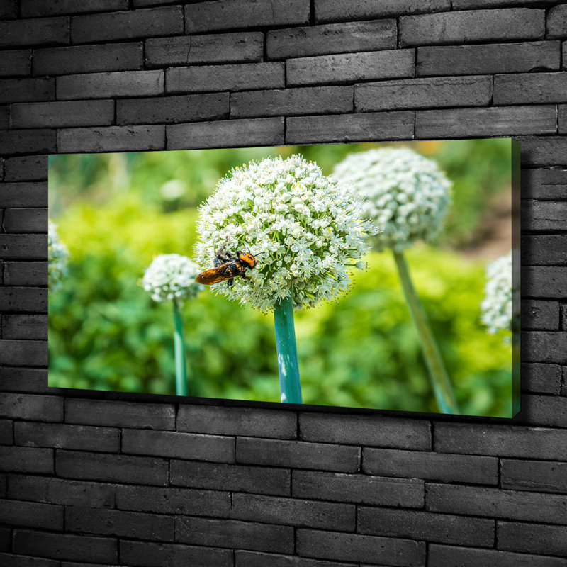Blooming Garlic - Print, Canvas, 50cm H x 100cm W x 2cm D