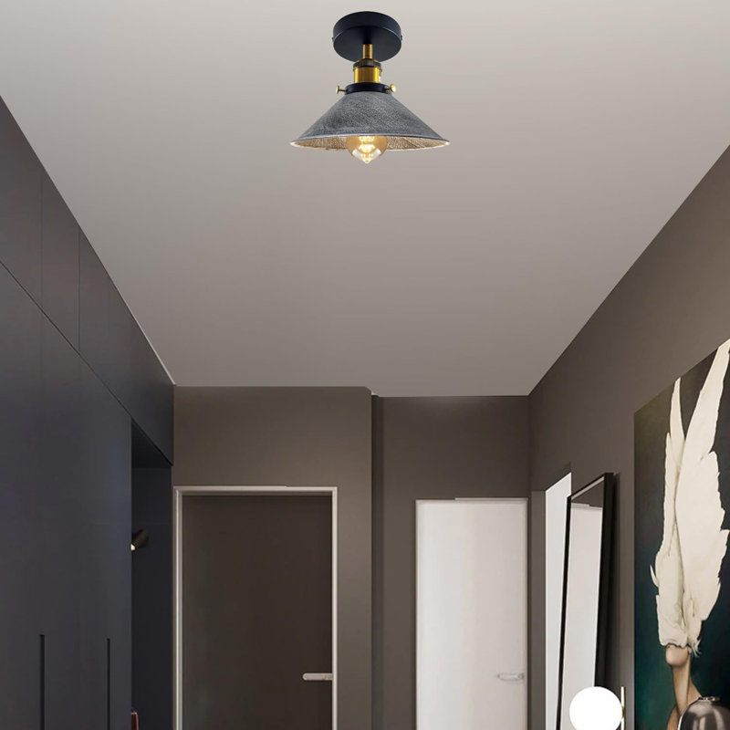 Douchette encastrée industrielle en métal E26, Brushed Silver