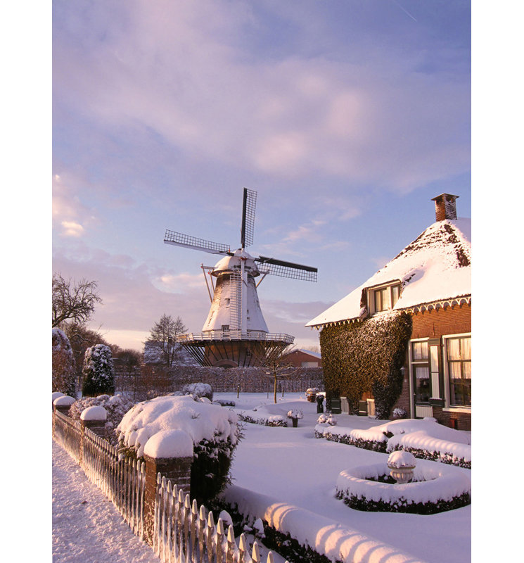 Snowfall in the Netherlands, 18" H x 13" W