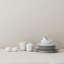 Porcelain China Platter