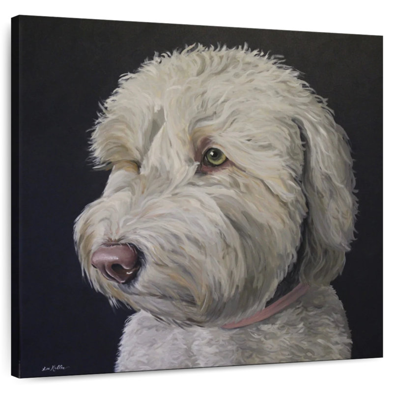 Crowle Labradoodle Goldendoodle