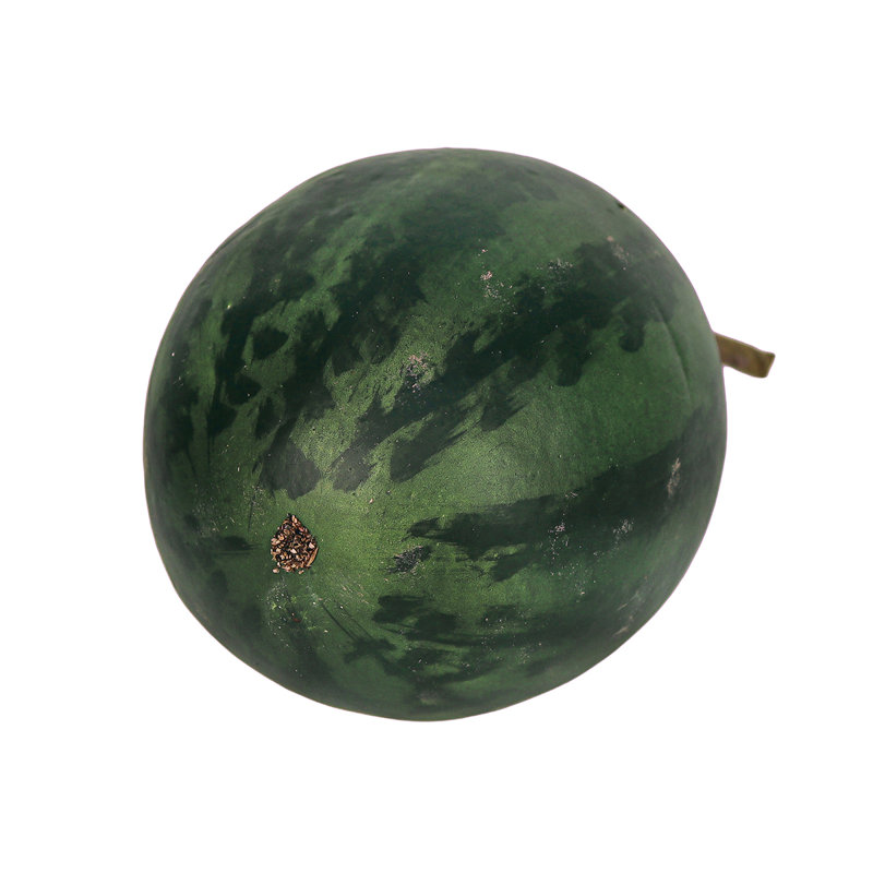 Melon d'eau artificiel avec vigne