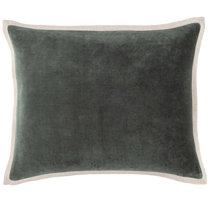 https://assets.wfcdn.com/im/04751056/resize-h210-w210%5Ecompr-r85/2232/223210247/Gehry+Throw+Pillow.jpg