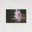 «Beautiful Flora» par Gordon Semmens