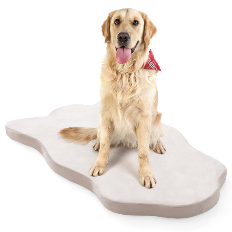 Tattnall Pet Bed, White