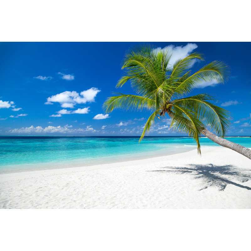 Tropical Paradise Beach - Wrapped Canvas Print, 61cm H x 91cm W x 3.8cm D