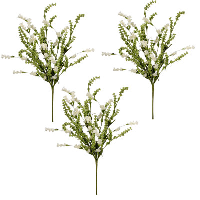 22 po Clover Berry Bush