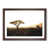 Walnut Framed selected