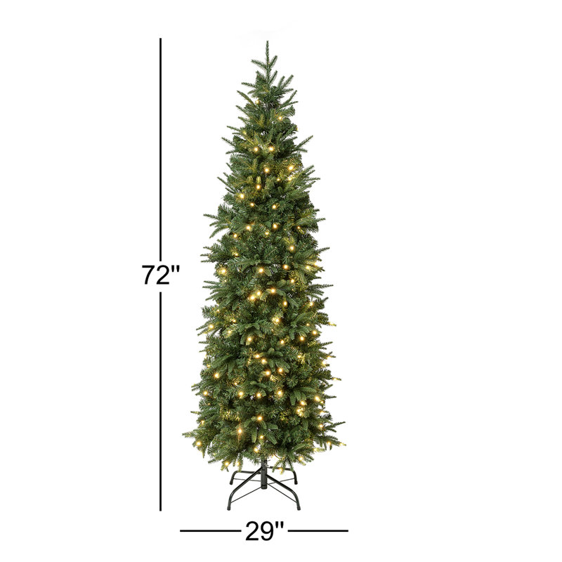Sapin mince et illuminé, H 6 pi, Illuminée