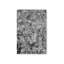Impression sur toile «Coneflower II» par Tony Smith-876430404