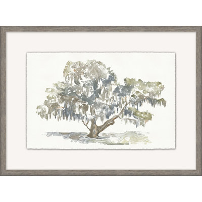 Graceful Moss Veils 3 Print