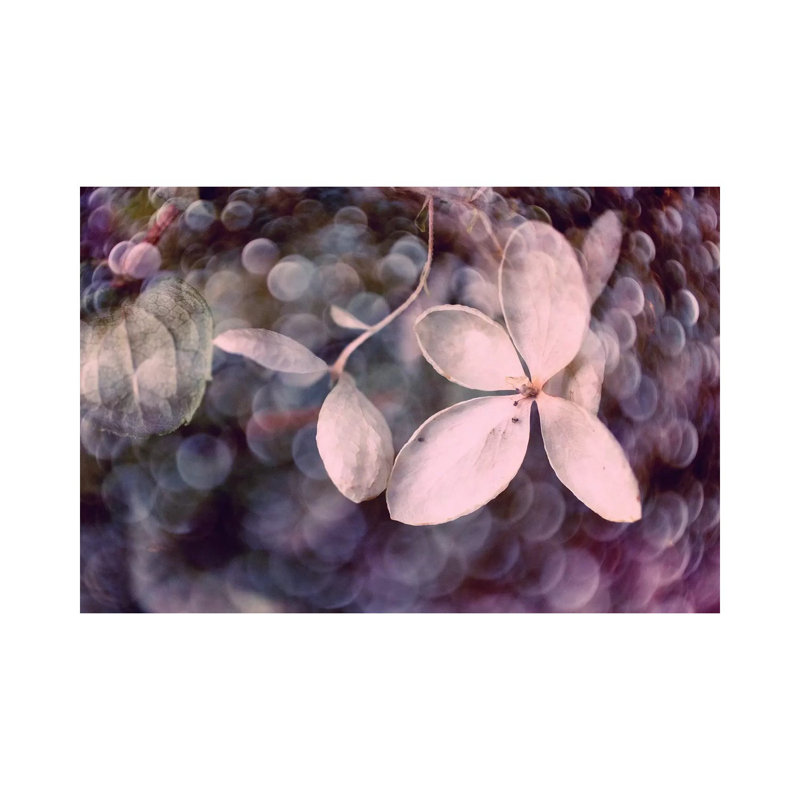 Purple Hydrangea by Judy Stalus - Wrapped Canvas Print, 20.32 cm H x 30.48 cm W