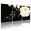 Pivoine, pivoines blanches sur fond noir, ensemble de 3 impressions sur toile-1338545105