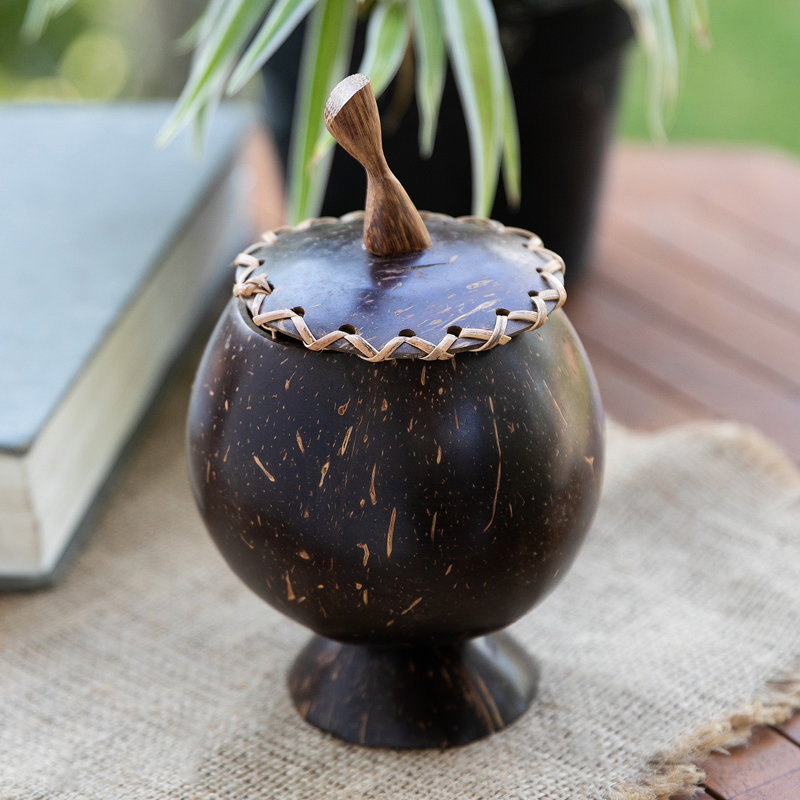 Boîte décorative en coquillage pour baies de coco Tengelsen