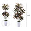 Arbre artificiel d'intérieur artificiel en forme de Dracaena de 5 pi de haut avec des branches et des feuilles réglables-27544973