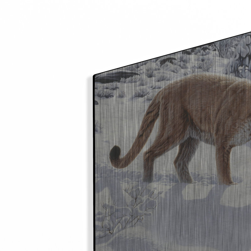 «Soft Snow-Cougar» par Ron Parker, H 12 po x l 24 po