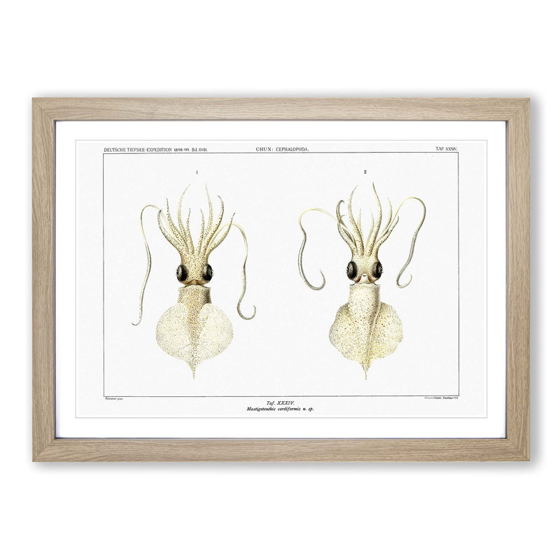 Love Heart Squid by Carl Chun - Picture Frame Painting Print, 27cm H x 36cm W x 2cm D, Oak Framed