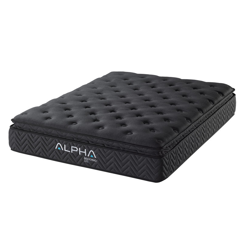 Dawsynn Black 12'' Hybrid Pillow Top Queen Mattress