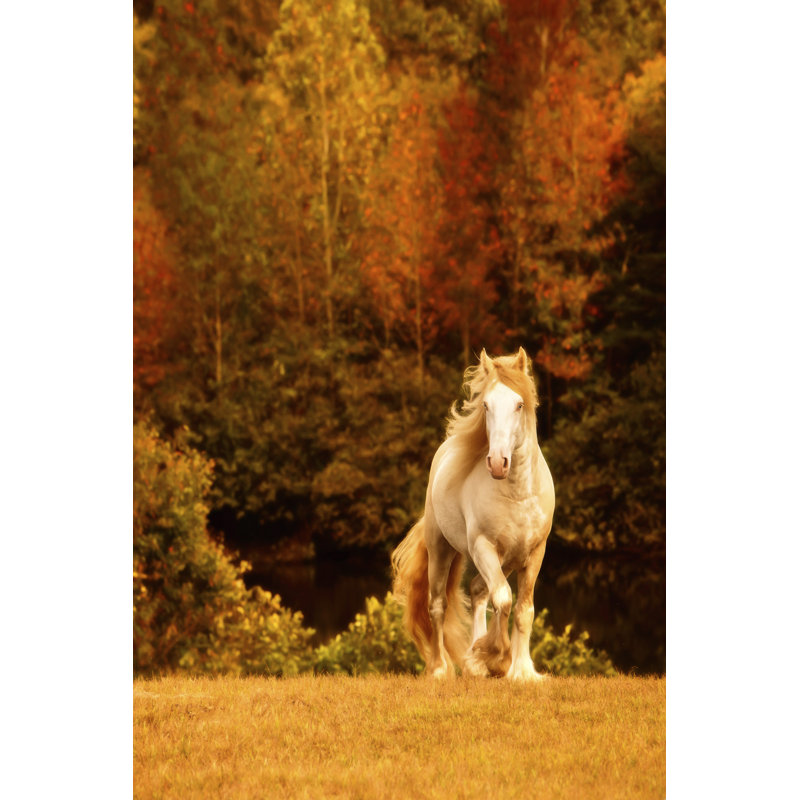 Horse Motion IX, H 48 po x l 32 po x P 1,25 po
