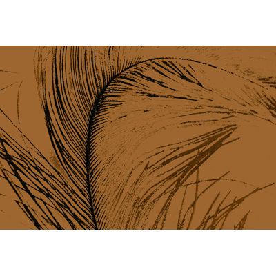 Feathered Impression I by Vision Studio - Wrapped Canvas Print