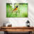 Brampt Oriole-107832044