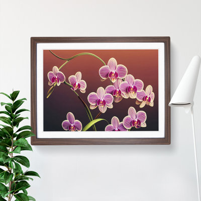 Dashing Orchid Flowers - Framed Print