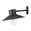 Ivy 22cm H Outdoor Barn Light