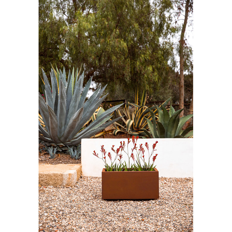 Corten Steel Series Long Box Planter, 13" H x 25" W x 11" D