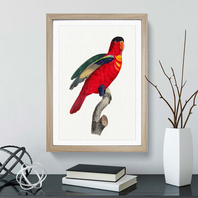 A Purple-Naped Lory by F. Levaillant - Framed Print, 33cm H x 24cm W x 2cm D, Oak Framed