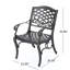 Chaise avec accoudoirs PHOENIX (ensemble de 2)