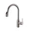 RAEN Pull Out Kitchen Faucet-50393024