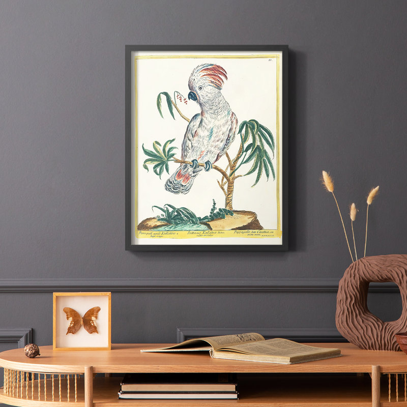 «Pastel Birds II», reproduction encadrée - bois massif, Noir, H 14 po x l 11 po