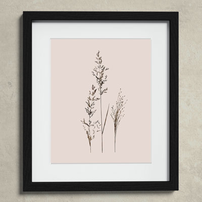 Delicate Stems I by Carol Robinson - Single Picture Frame Print -  Birch Lane™, AE7EA75185C542C8BF58348245A3A2CA