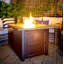 Cayden 25" H x 30" W Steel Propane Gas Fire Pit Table