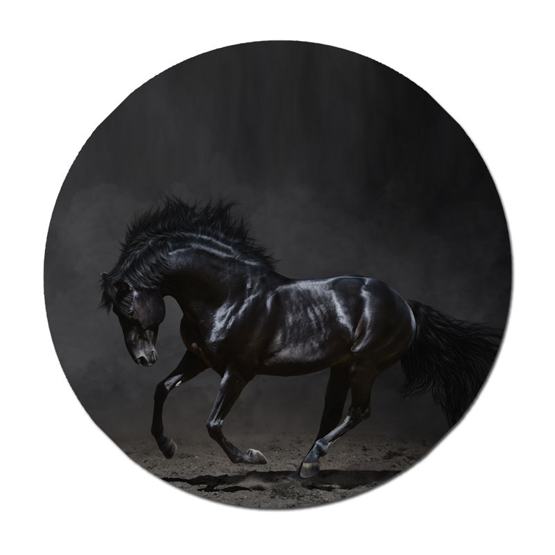 Étalon noir - photographie encadrée, H 24 po x l 24 po