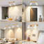 Shelvie Spotlight-939306548