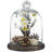 Vidu Display Clear Cloche with Wood Base