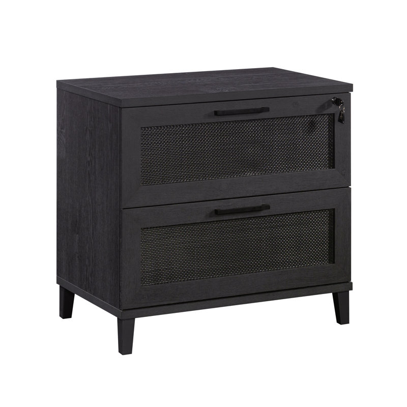 Aldrik 31.5'' Wide 2 -Drawer File Cabinet
