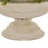 Cezalina Urn Planter