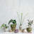 Havrilka Hand-Painted Reactive Glaze Terracotta Urn