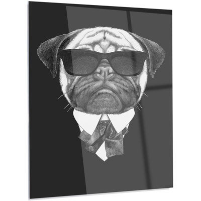 " Pug Dog Portrait In Suit "