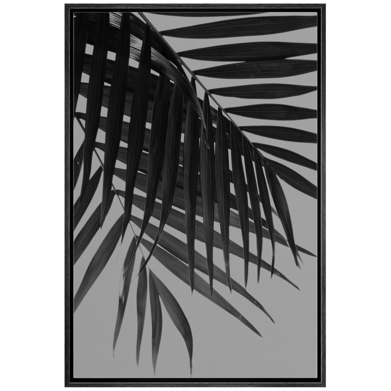" Palm Leaves Intersecting ", Black Framed, 36" H x 24" W x 1.5" D