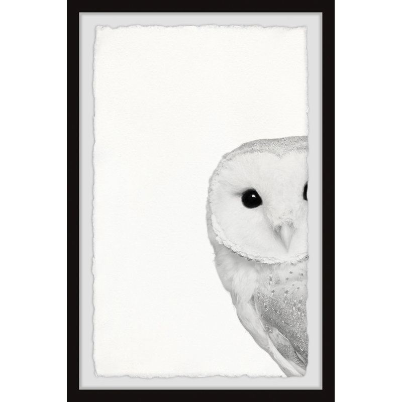«Hidden Owl II», ensemble de reproductions sur papier, H 18 po x l 12 po x P 1,5 po