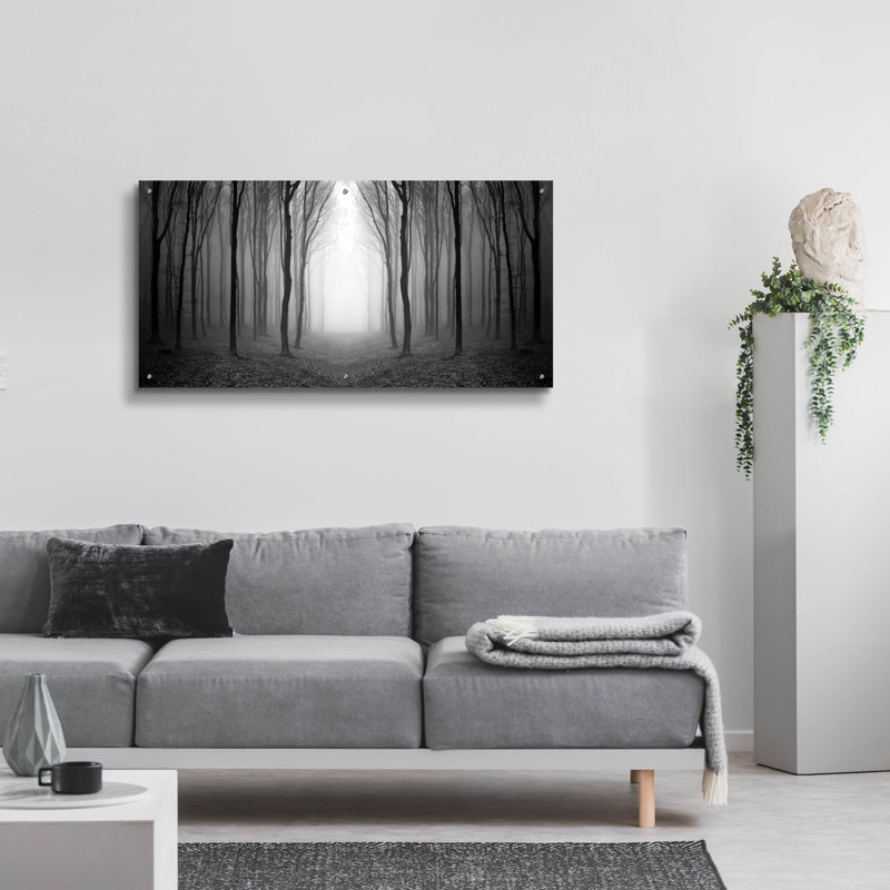 «Dark Woods» par Photoinc Studio, art mural en verre acrylique, H 24 po x l 48 po