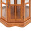 Armoire de coin en chêne avec formation de 5 tablettes et éclairage Curio à 5 tablettes, texture chêne-1653831127-1653831113