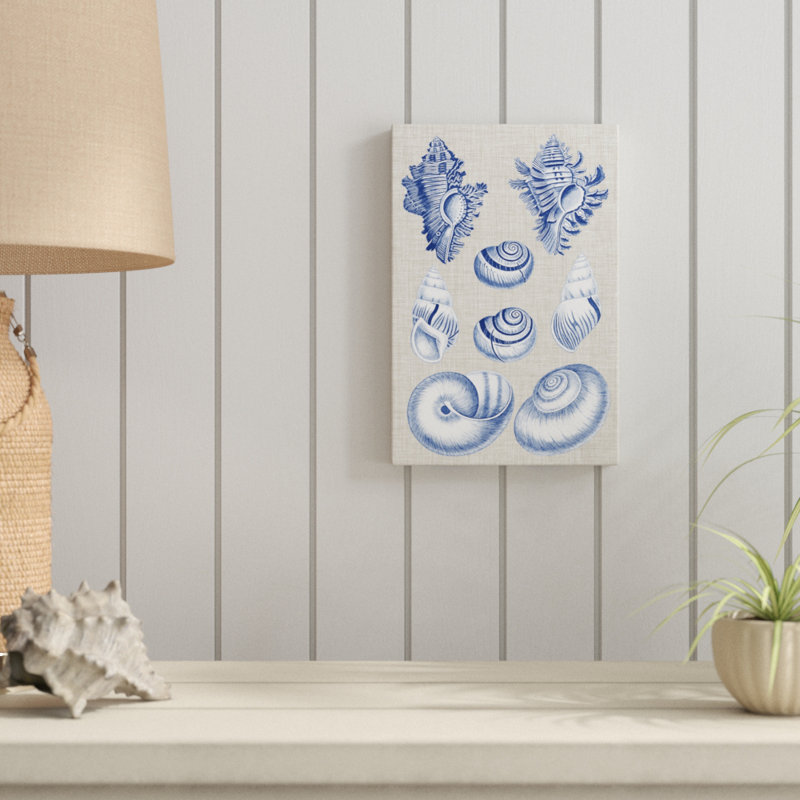 Navy & Linen Shells IV by Vision Studio - Painting, 30cm H x 20cm W, Wrapped Canvas