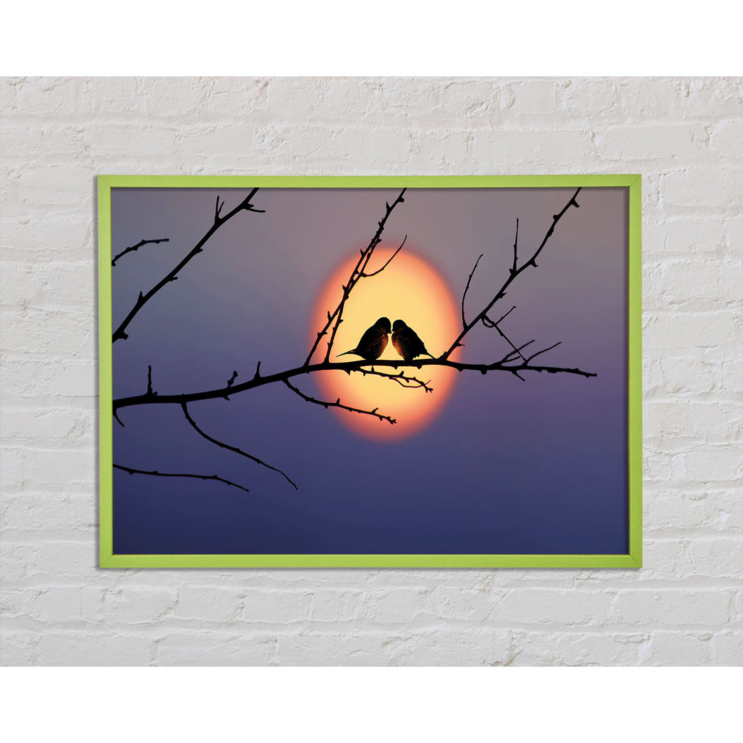 Love Bird Sunset - Einzelner Bilderrahmen Kunstdrucke