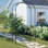 Otego 55'' W x 21'' D Iron Arbor in Black